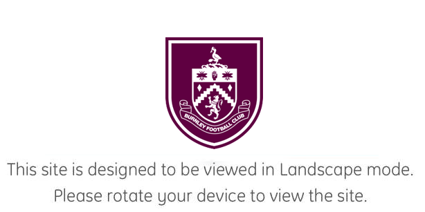 Landscape is the valid orientation